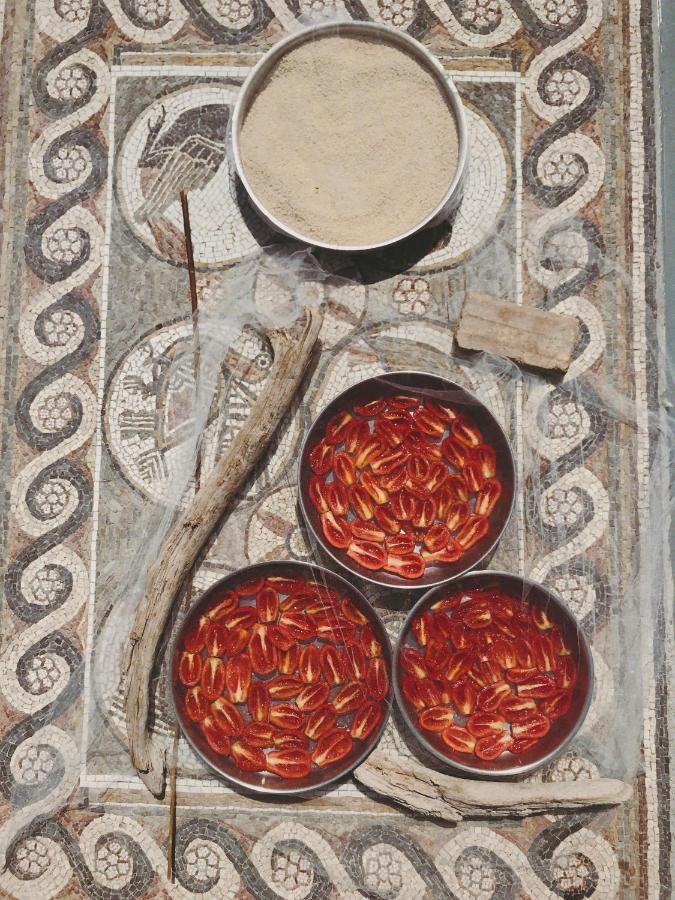 The Artist'S Farm Βίλα Διγελιώτικα Εξωτερικό φωτογραφία