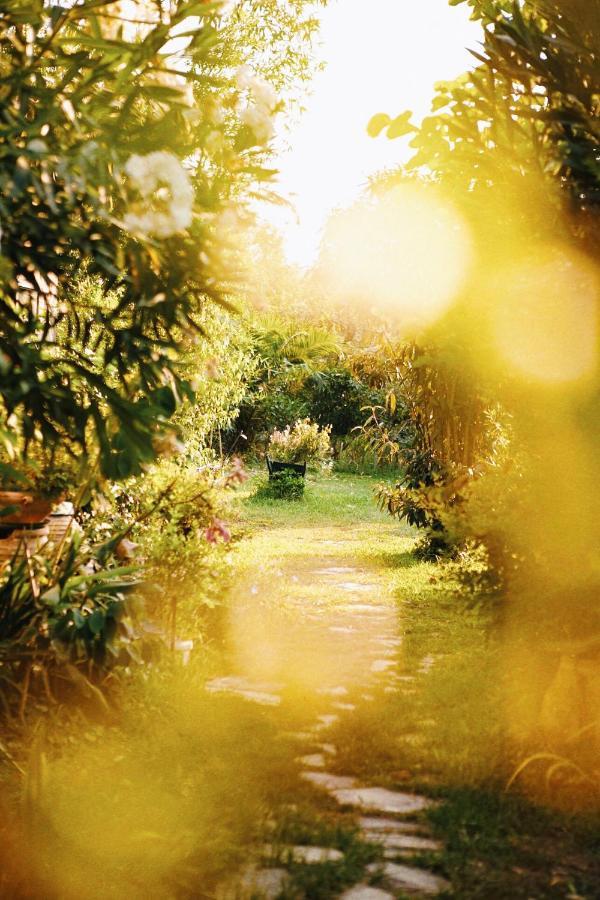 The Artist'S Farm Βίλα Διγελιώτικα Εξωτερικό φωτογραφία